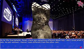 Cat President ~A More Purrfect Union~