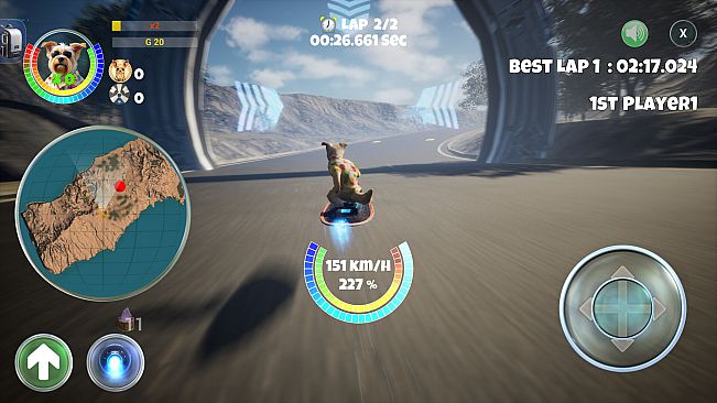 PupRacers