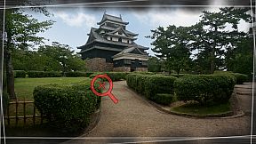 Root Letter Last Answer