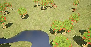 Fengshua Farm Story