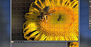 Pixel Puzzles Traditional Jigsaws Pack: Variety Pack 10