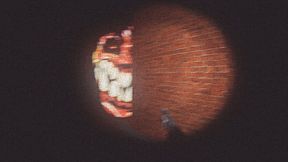 Give 1 bit to GustavoGek