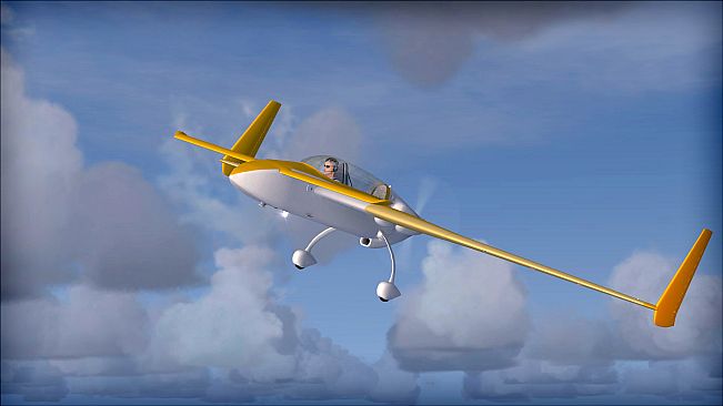 FSX: Steam Edition - Rutan 61 Long EZ Add-On
