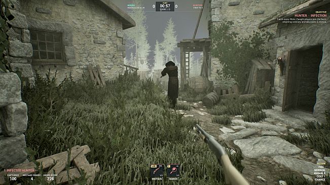 Sneaky Pig: Druid Hide & Seek