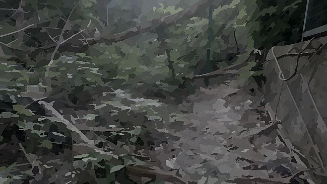 When The Rumors Become Real