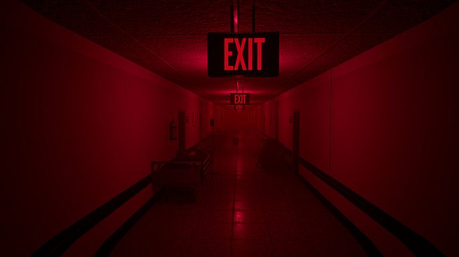 The Backrooms Deluxe