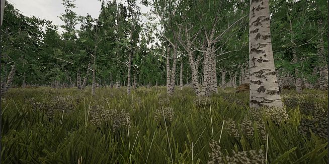 Tree Hugging Simulator
