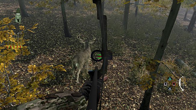 Pro Deer Hunting Out West