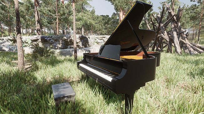 Grand Piano Simulator