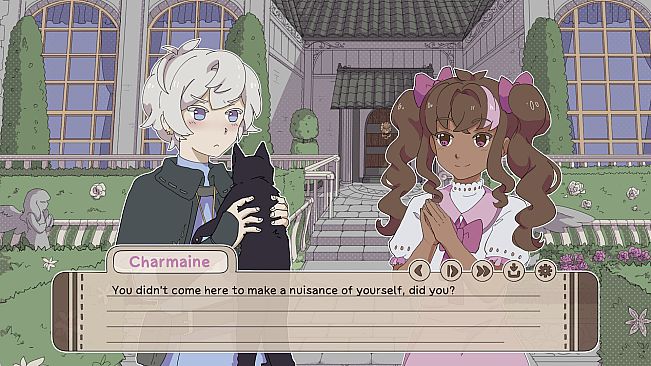 My Confounding Cat is Criminally Cute!