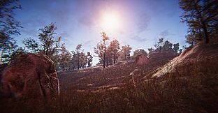 PROJECT D : Human Risen