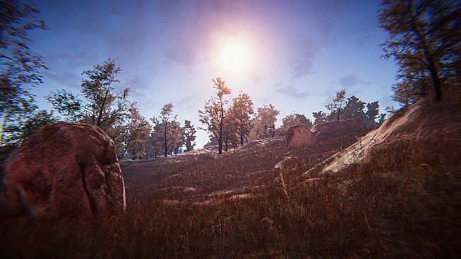 PROJECT D : Human Risen