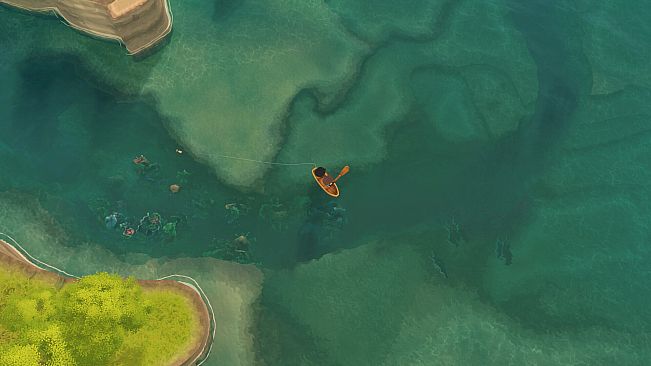 Paddle Cats