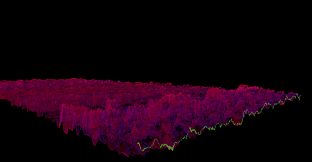 Bonk'd Audio Visualizer