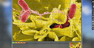 Jigsaw Puzzle Pack - Pixel Puzzles Ultimate: Variety Pack 14