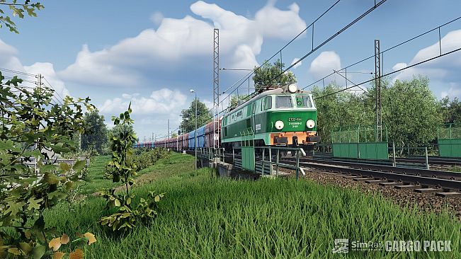 SimRail - The Railway Simulator: Cargo Pack