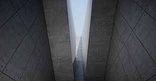 Cognition Method: Initiation