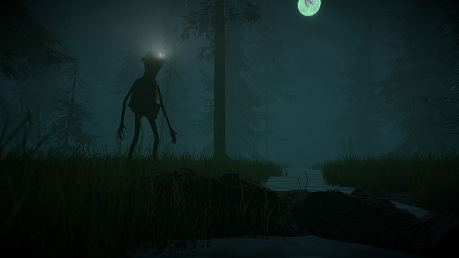 Maurice: In The Predator's Nest