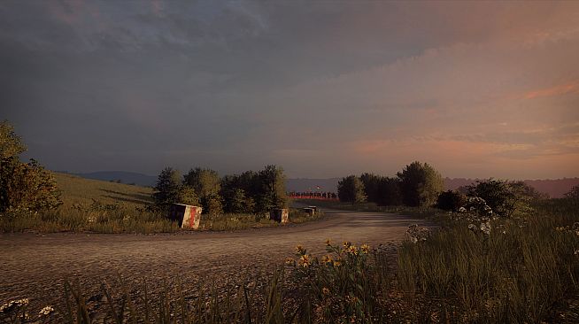 DiRT Rally 2.0 - Germany (Rally Location)