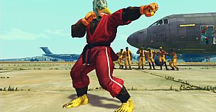 USFIV: Shoryuken Wild Pack