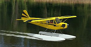 RealFlight Evolution – Hangar 9 Clipped-Wing Cub 10cc