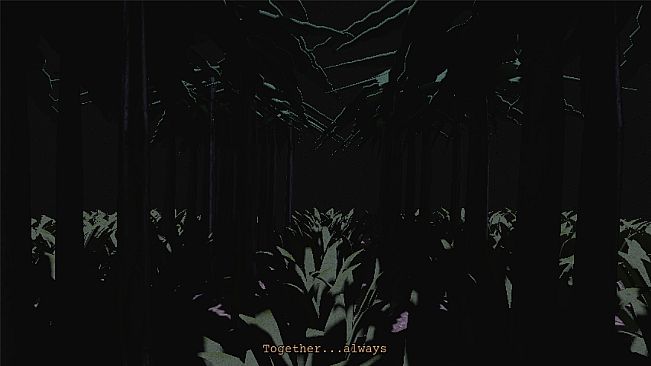 Eve of Cultivation