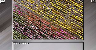 Super Jigsaw Puzzle: Generations - Colorful 4