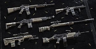 Insurgency: Sandstorm - Worn Veteran Weapon Skin Set