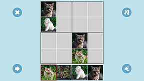 CAT SUDOKU