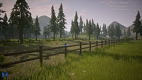 The Place I Called Home