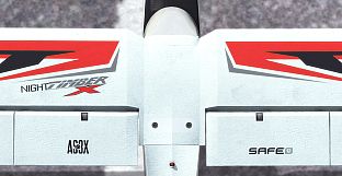 RealFlight Evolution