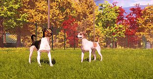 Animal Shelter 2 - Hunting Dogs Pack