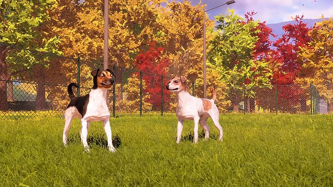 Animal Shelter 2 - Hunting Dogs Pack