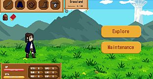 Fortune Flipper
