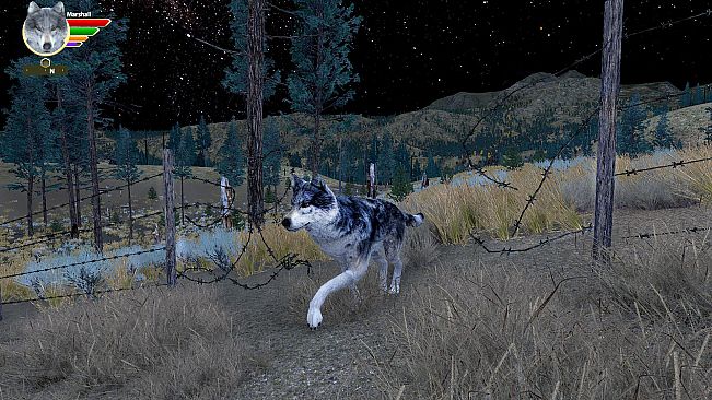 WolfQuest Anniversary - Lost River