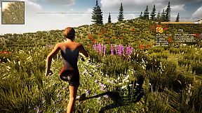 Treasure of Cutuma 3rd