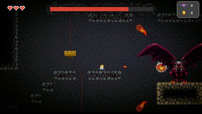 Behind Closed Doors: A Developer's Tale