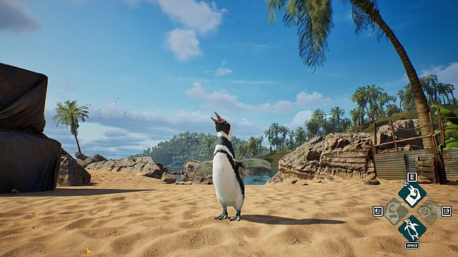 My Penguin Friend