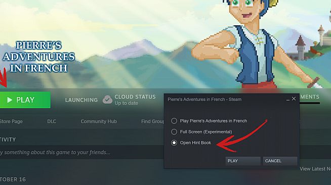 Pierre's Adventures in French - Hint Book