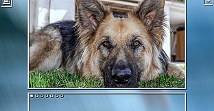 Super Jigsaw Puzzle: Generations - Dogs Puzzles