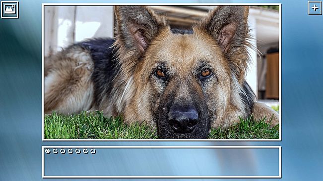 Super Jigsaw Puzzle: Generations - Dogs Puzzles