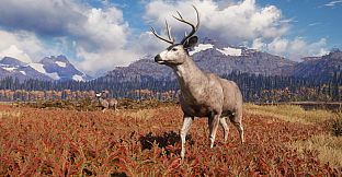 theHunter: Call of the Wild - TruRACS