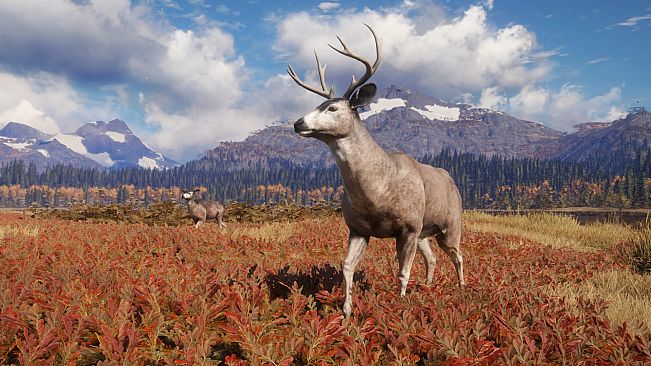 theHunter: Call of the Wild - TruRACS