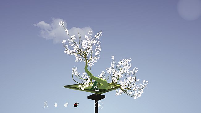 Tree Bonsai