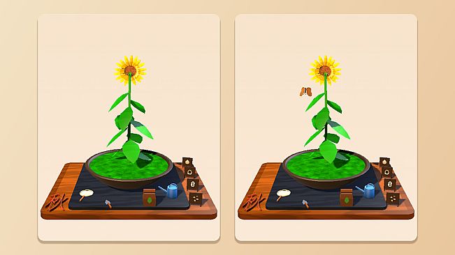 Little Pot, Big Seasons
