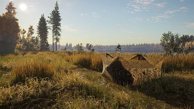 theHunter: Call of the Wild - Revontuli Coast